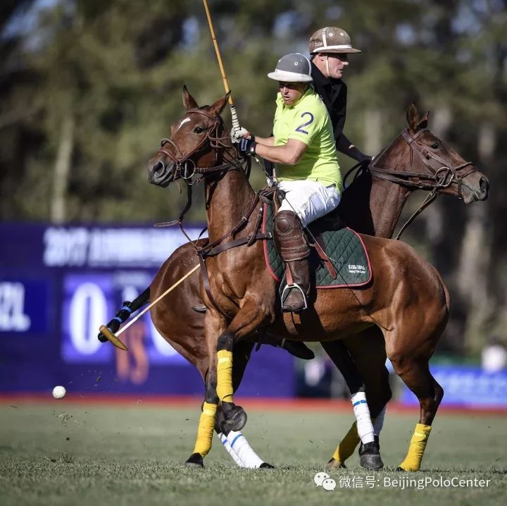 新西兰运动员在马术项目中取得突破 新西兰运动员在马术项目中取得突破